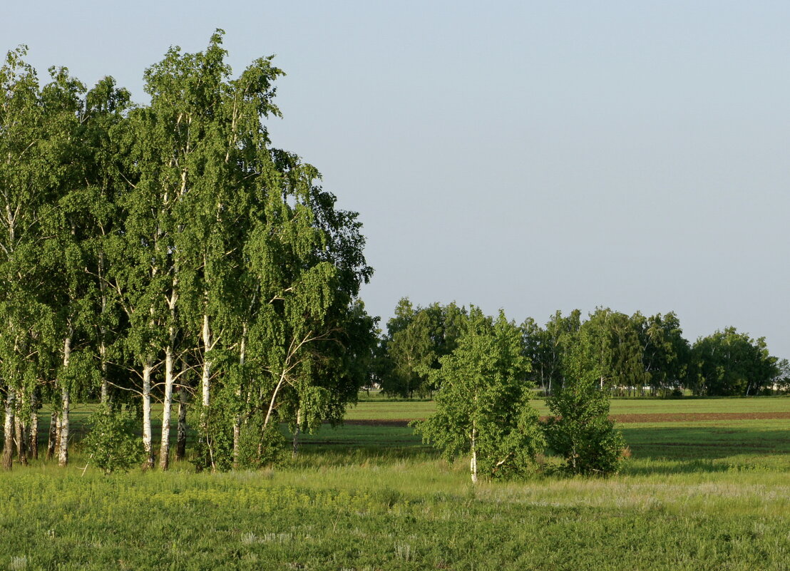 Краски мая. - сергей ермошкин Краски мая. - сергей ермошкин