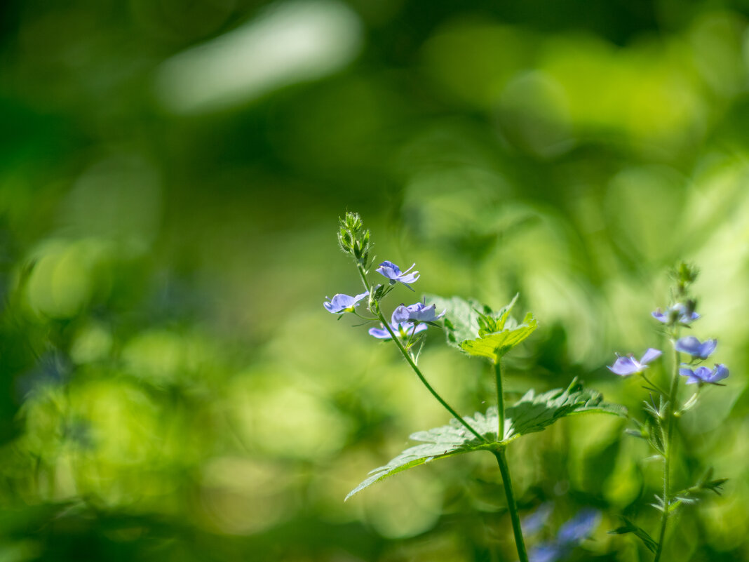 ___ - Yuriy V ___ - Yuriy V