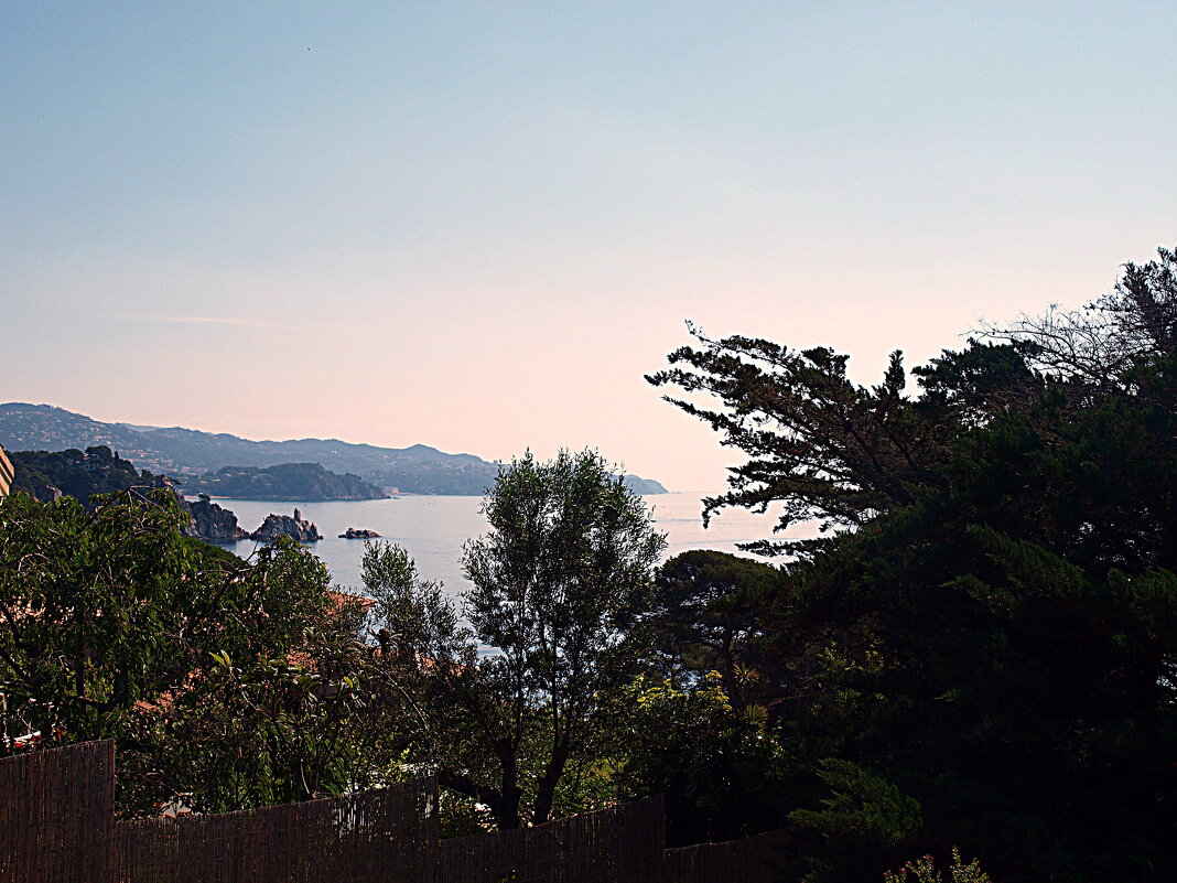 Барселона. - Владимир Драгунский Барселона. - Владимир Драгунский