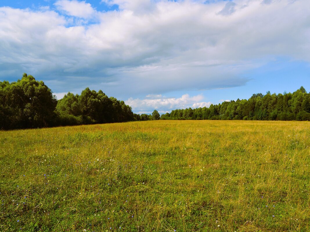 Ядрин. Заливные луга в пойме реки Суры. - Пётр Чернега Ядрин. Заливные луга в пойме реки Суры. - Пётр Чернега