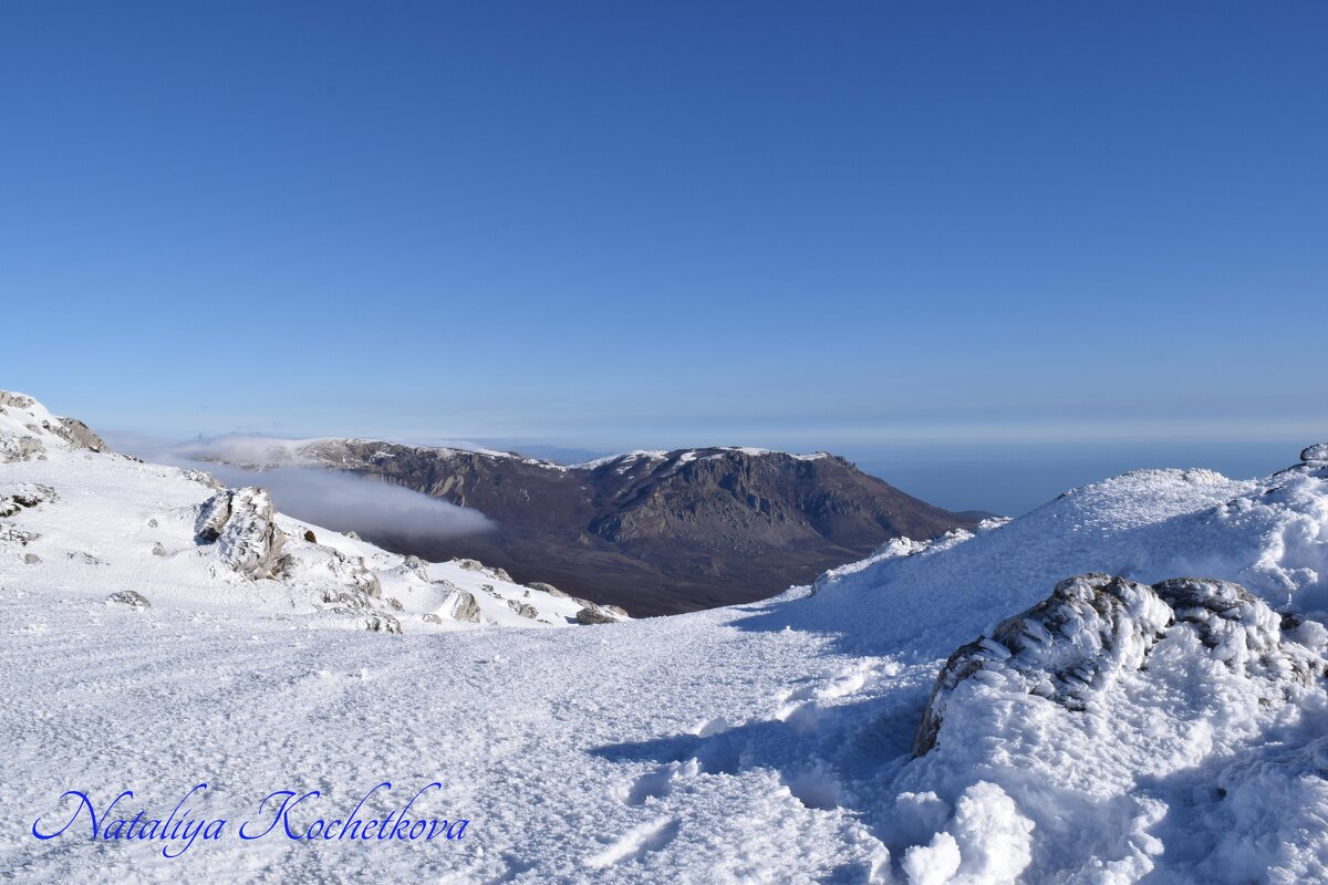 Природа Крыма - Amazing Cosmea