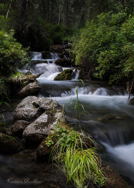 Лесной ручей 2 - Вениамин Скородумов