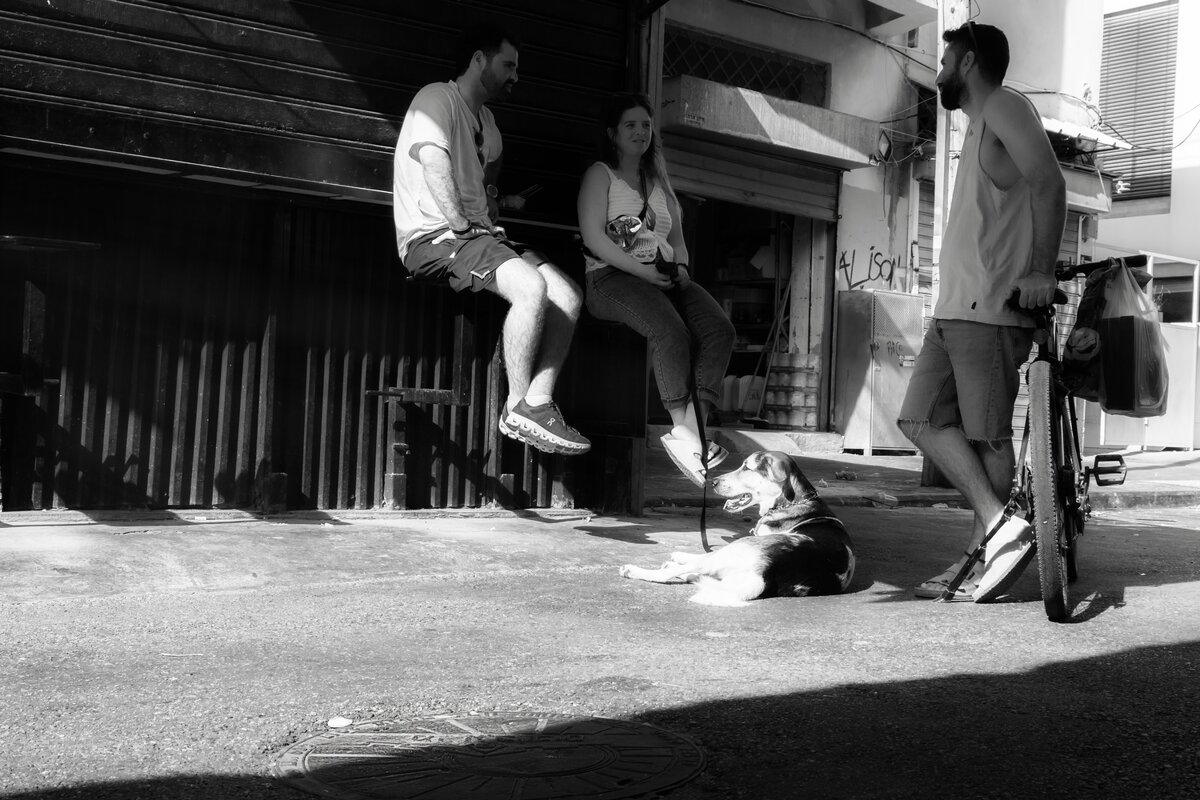 Трое не считая собаки - alex chernin