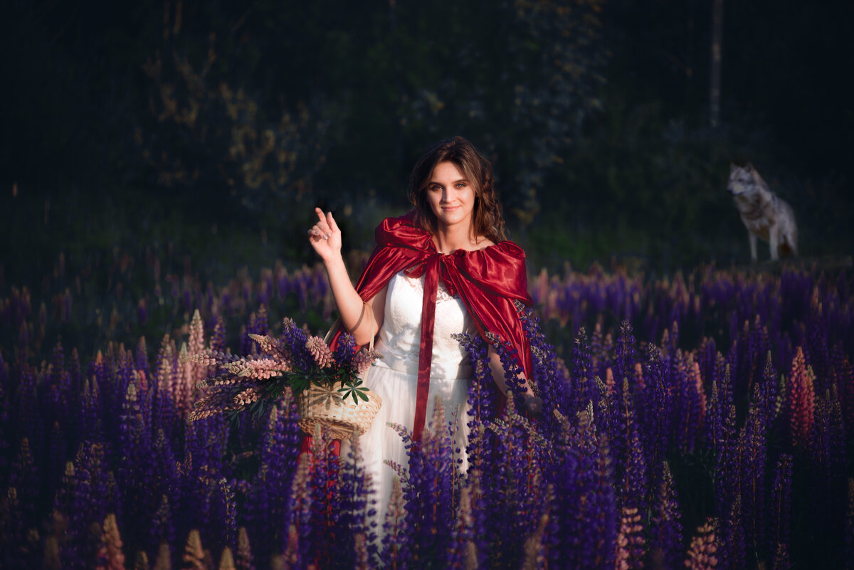 Красная шапочка - Ольга Зинченко