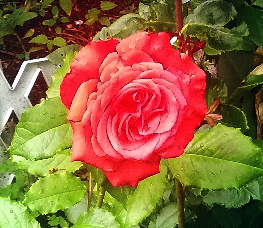 Аромат цветов рождает грезы - Ольга Довженко