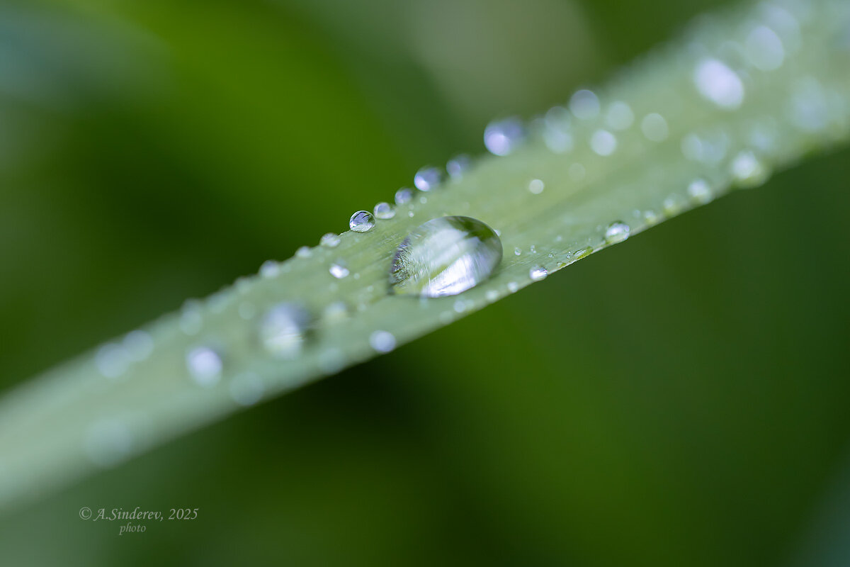 После дождя - Александр Синдерёв