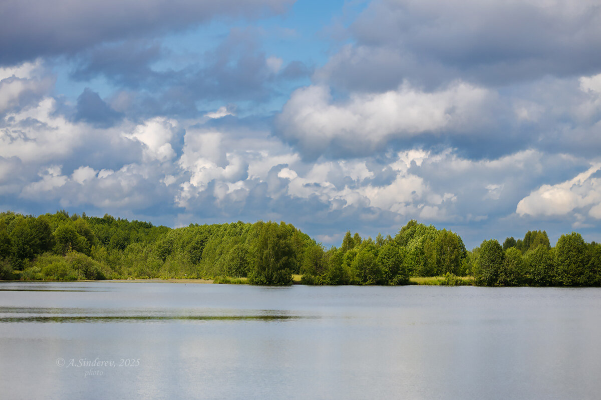 Летний пейзаж на озере - Александр Синдерёв