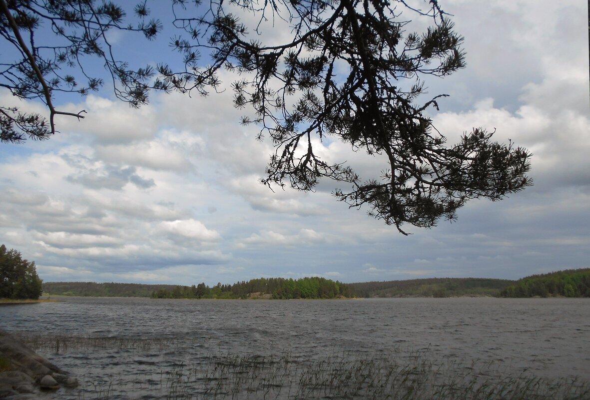 Ладога - Vyacheslav Gordeev