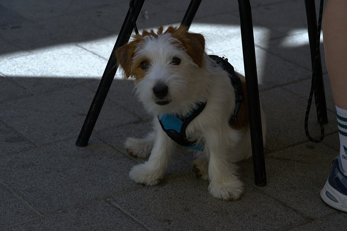 И все таки она красиво позирует  - ujgcvbif 