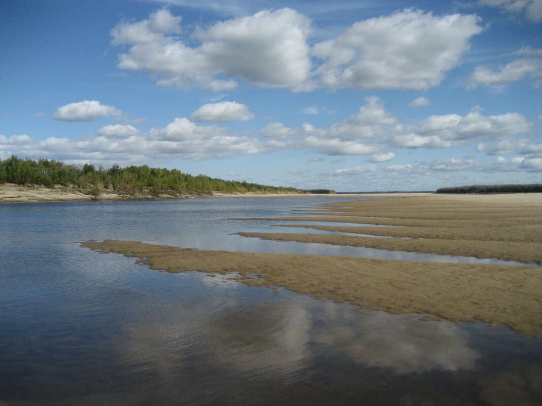 Лето - Anna Ivanova