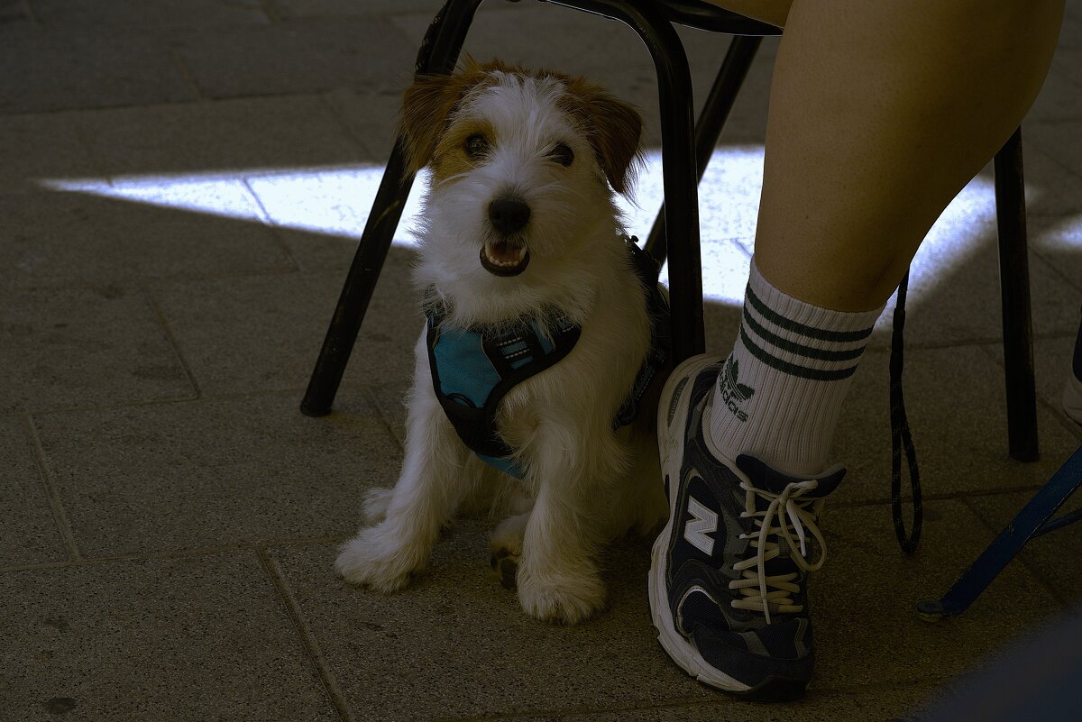 И все таки она красиво позирует  - ujgcvbif 