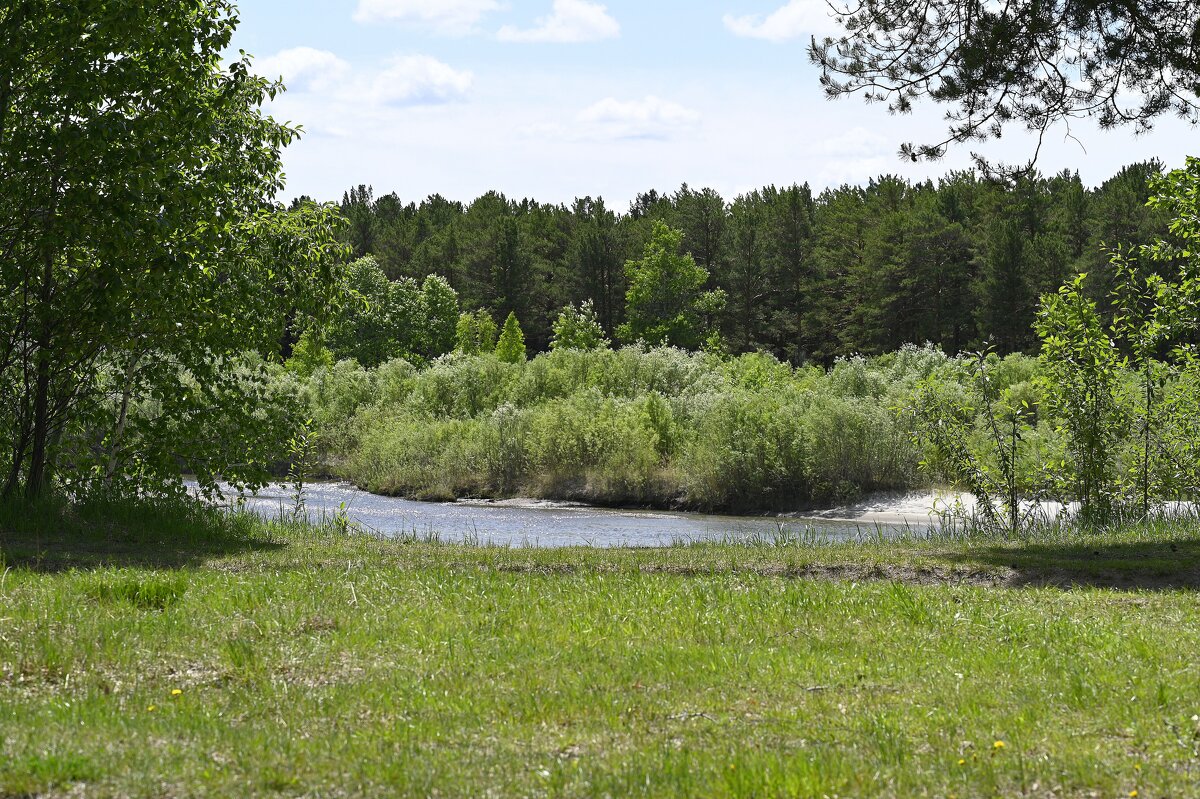 Летние картинки - Ольга 