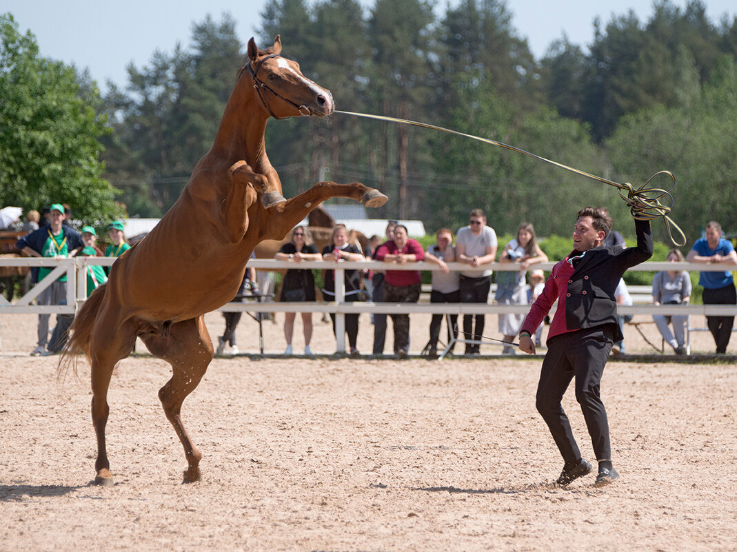 *** - Алексей Смирнов