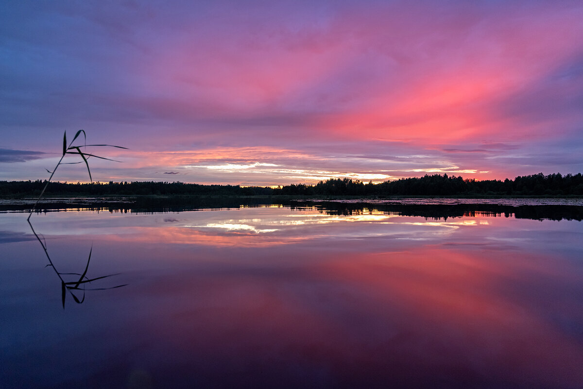 Летний закат - Виктор Желенговский Летний закат - Виктор Желенговский