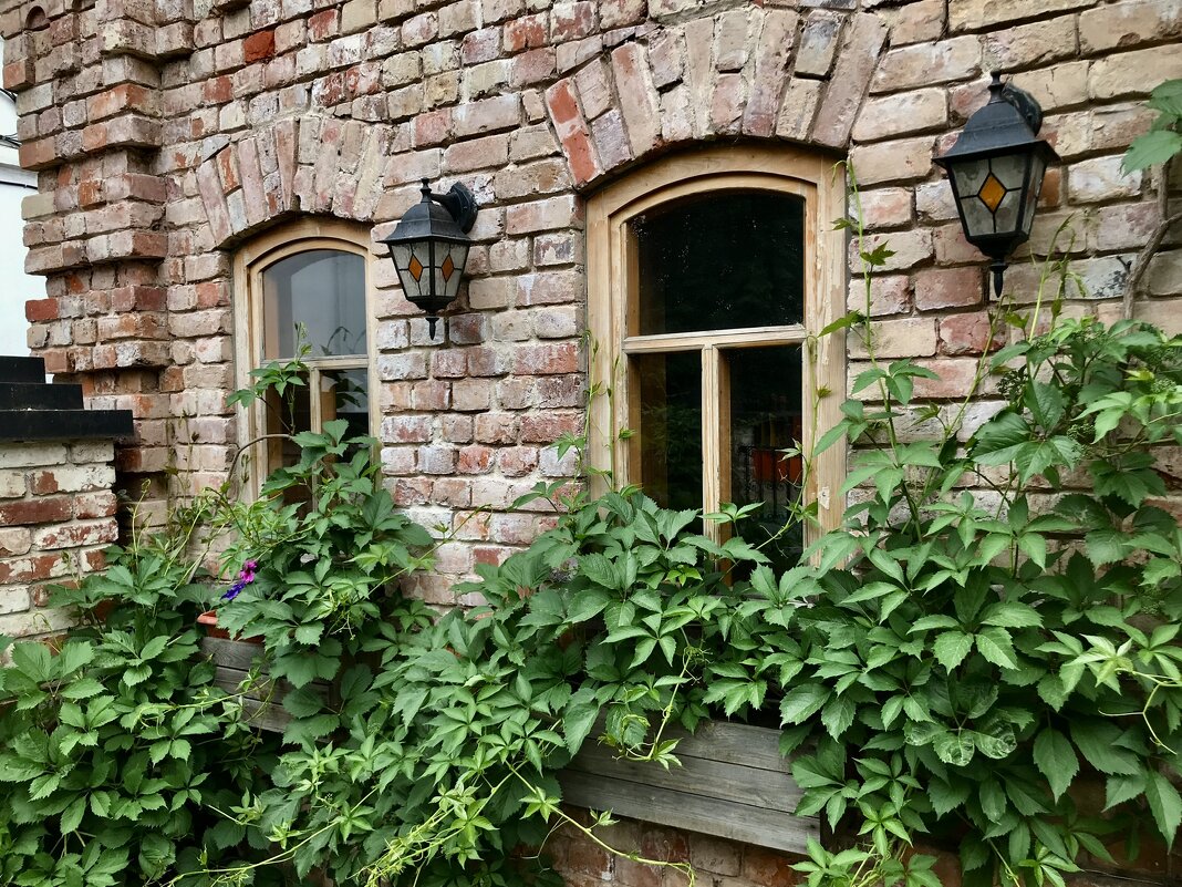 Окна-6 - Любовь 