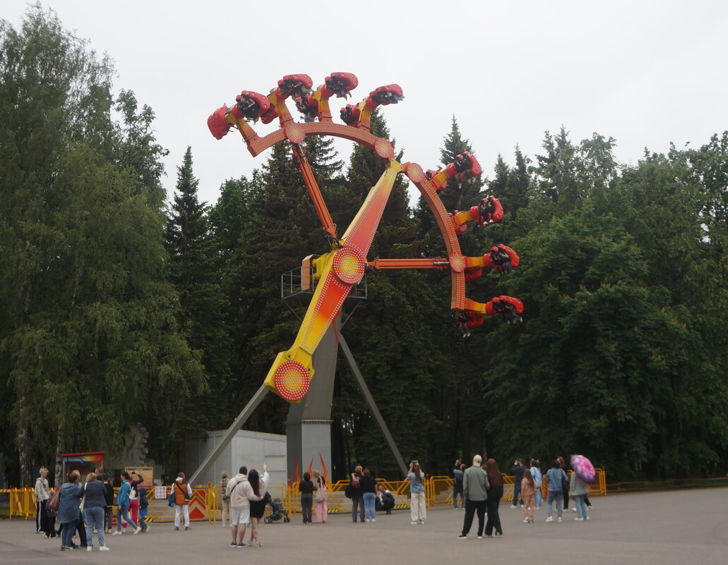 Диво остров - zavitok *