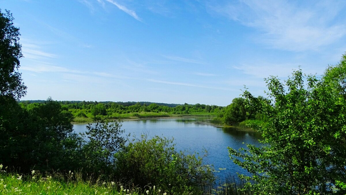 Наше лето (репортаж из поездок по области). - Милешкин Владимир Алексеевич 