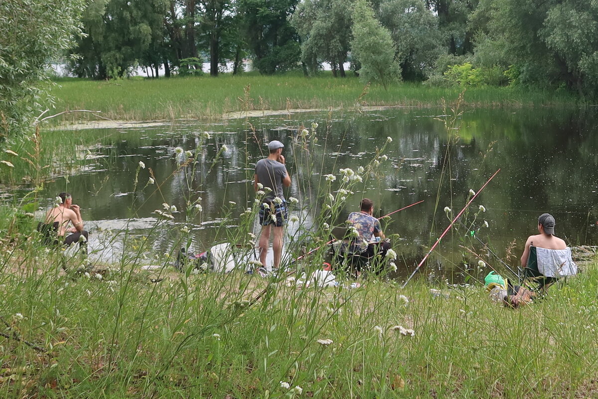 "А у реки, а у реки, а у реки..." - Дмитрий И_
