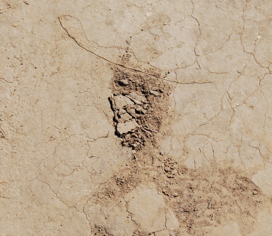 AMIGO - Юрий Вовк