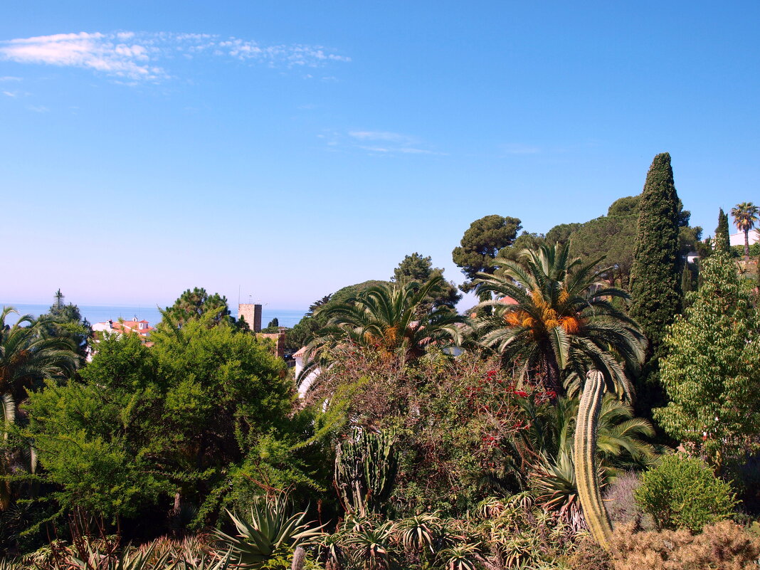 Барселона. - Владимир Драгунский