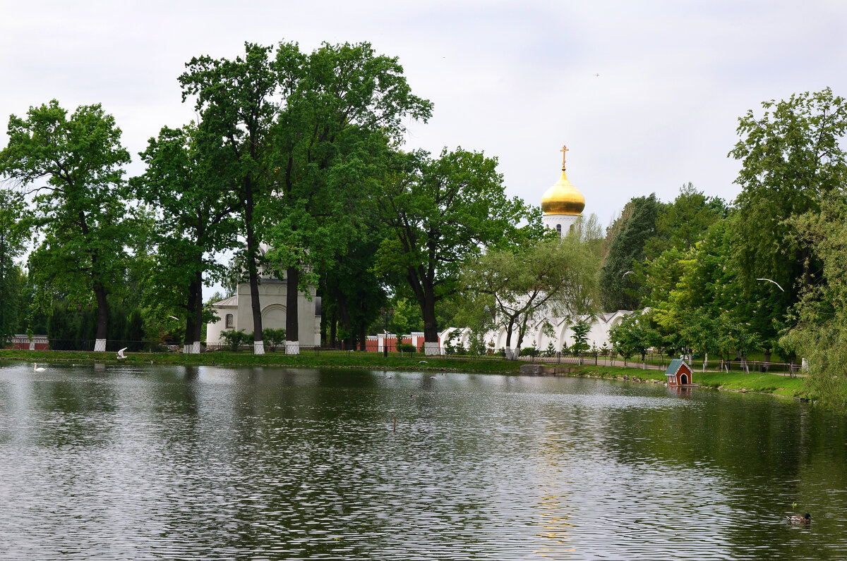 Московская область. Николо-Угрешский монастырь. - Наташа *****