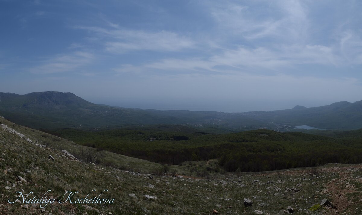 Природа Крыма - Amazing Cosmea Природа Крыма - Amazing Cosmea