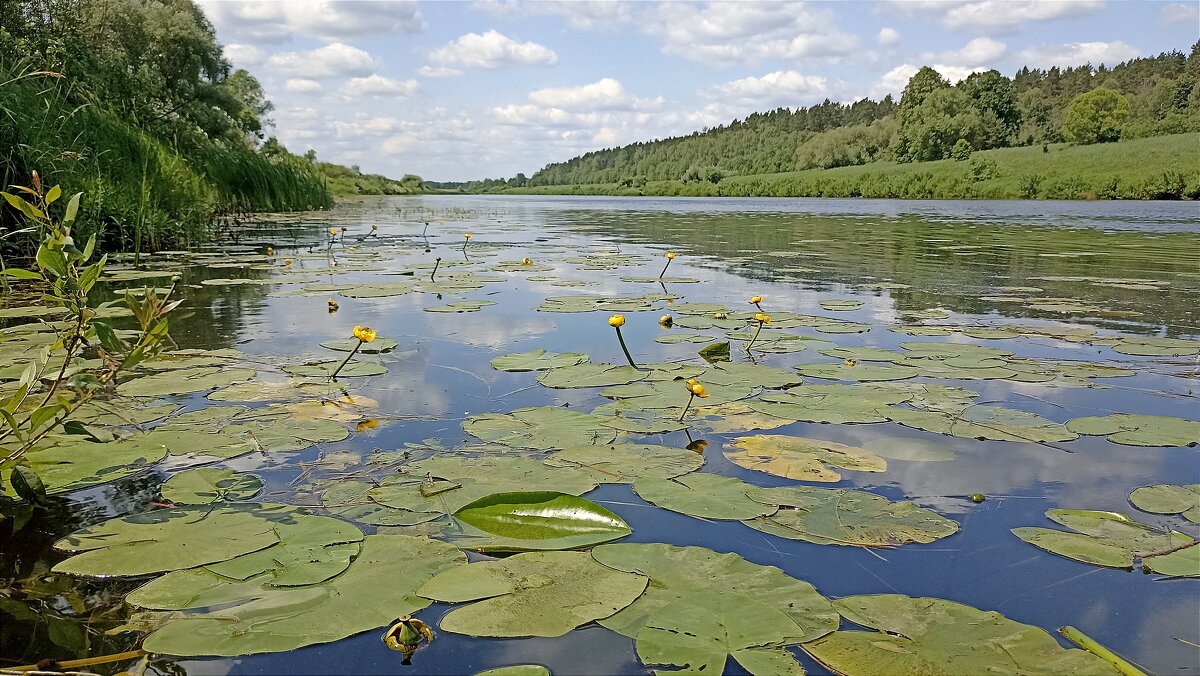 На реке Угре - Татьяна Тюменка