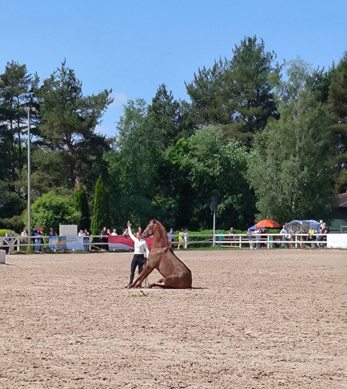 Иппосфера - 2025..Выступает Татьяна Носова. - Ольга Иппосфера - 2025..Выступает Татьяна Носова. - Ольга