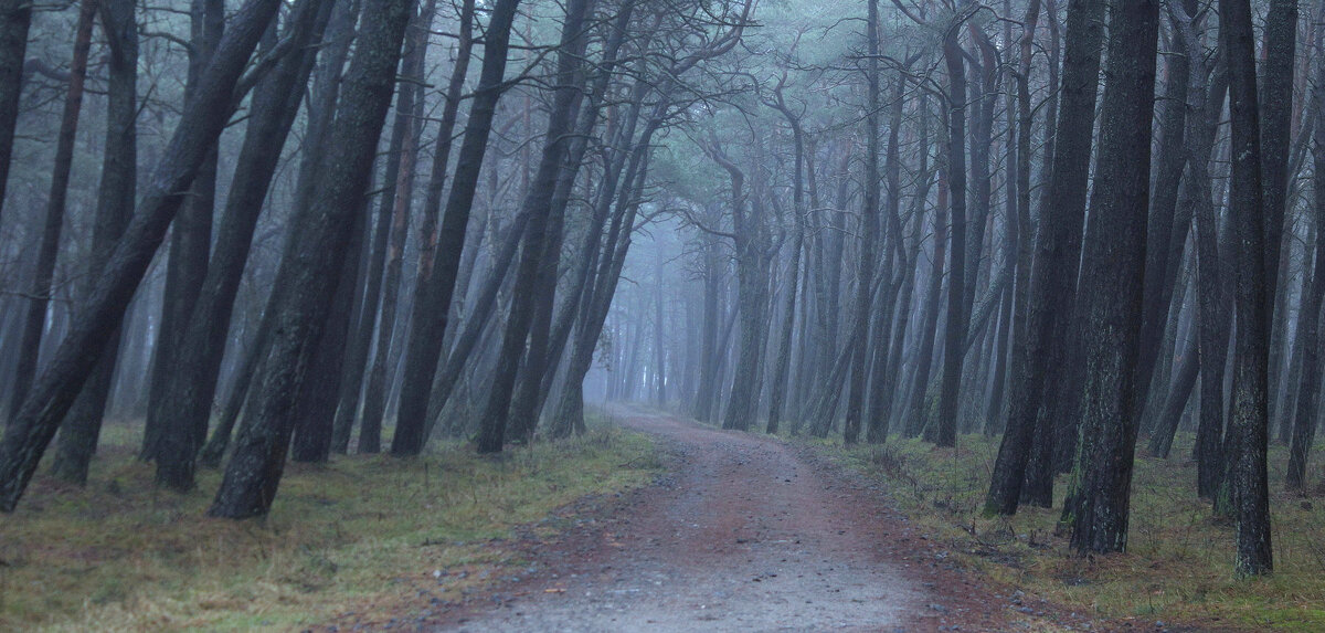 Зовёт и манит - Августина Зовёт и манит - Августина