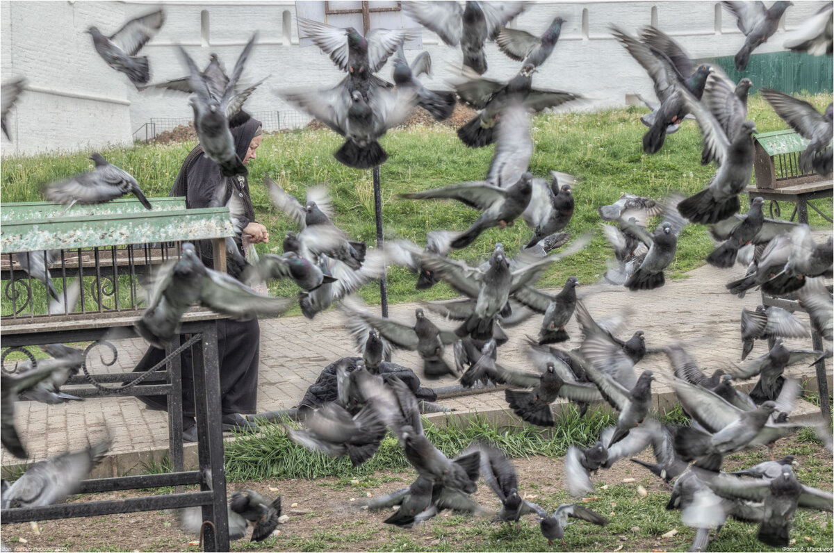 "Кормилица". - Александр Максимов