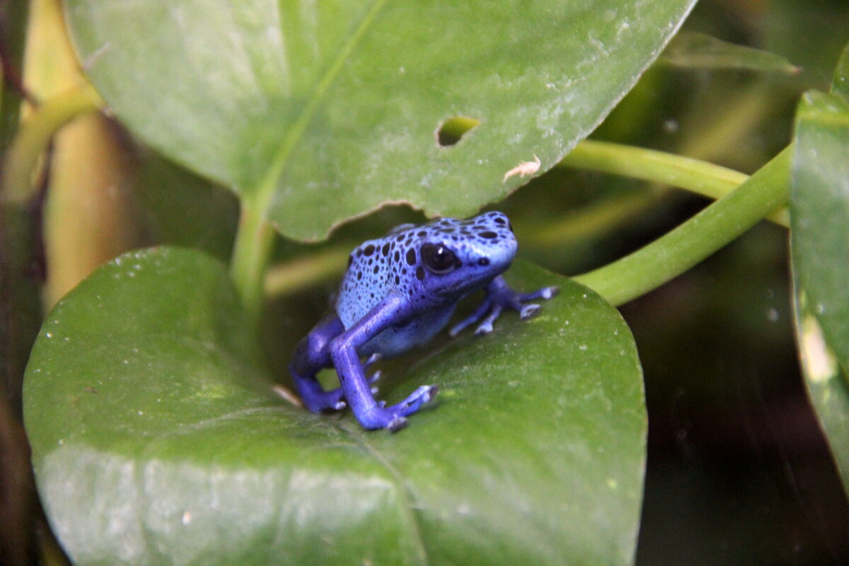 * - Tim Andrews * - Tim Andrews