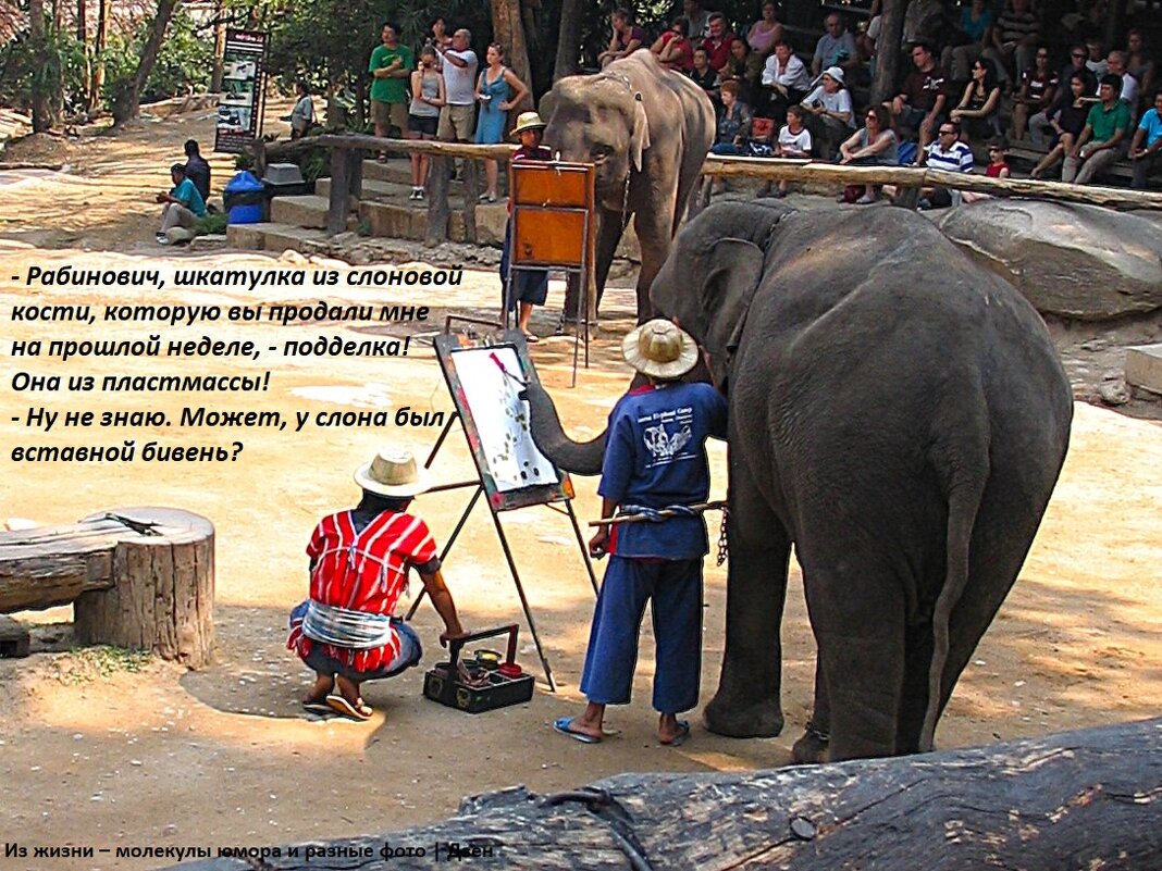 Художники - svk *