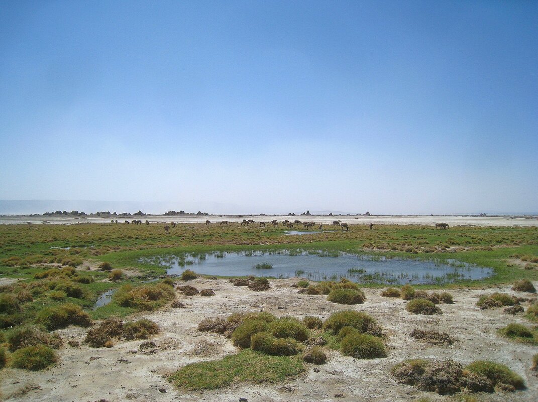 Кусочек Джибути. - unix (Илья Утропов)