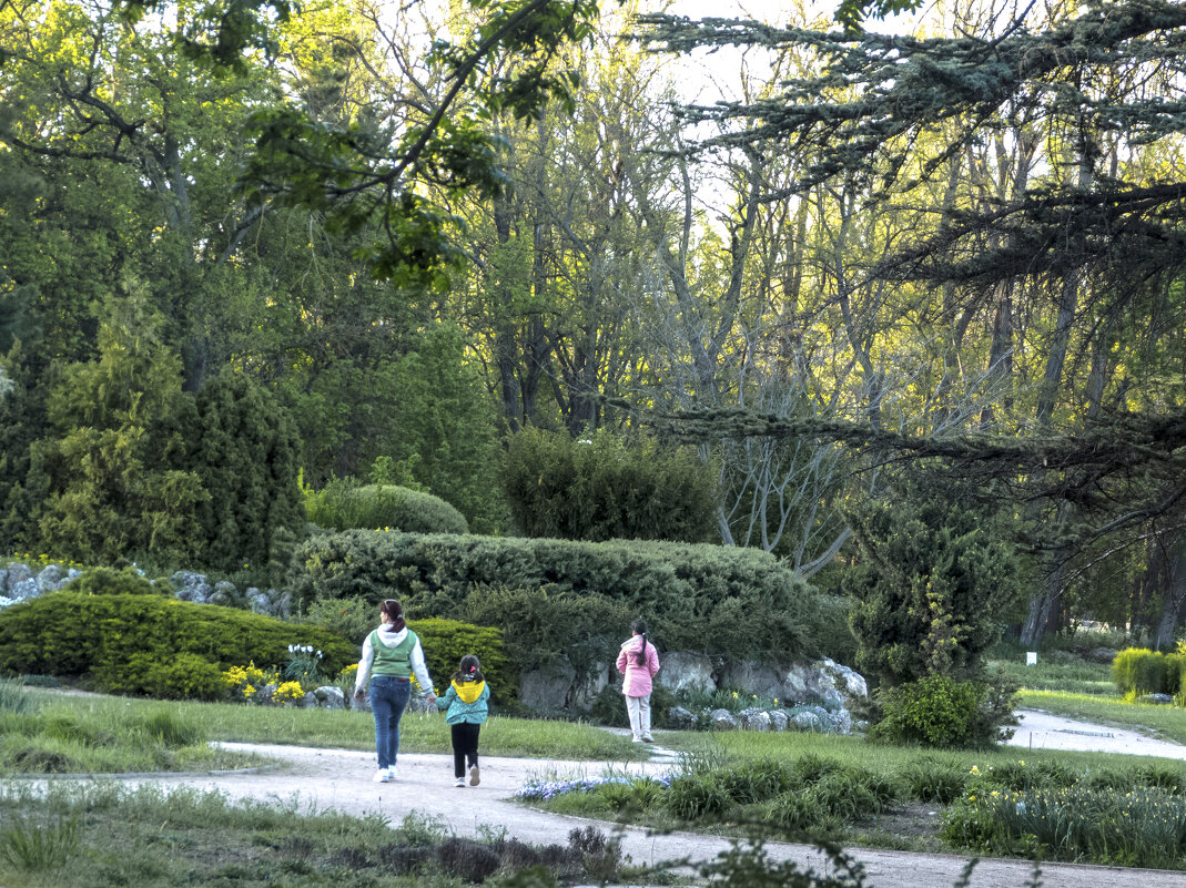 Ботанический сад  Н В Багрова - Валентин Семчишин