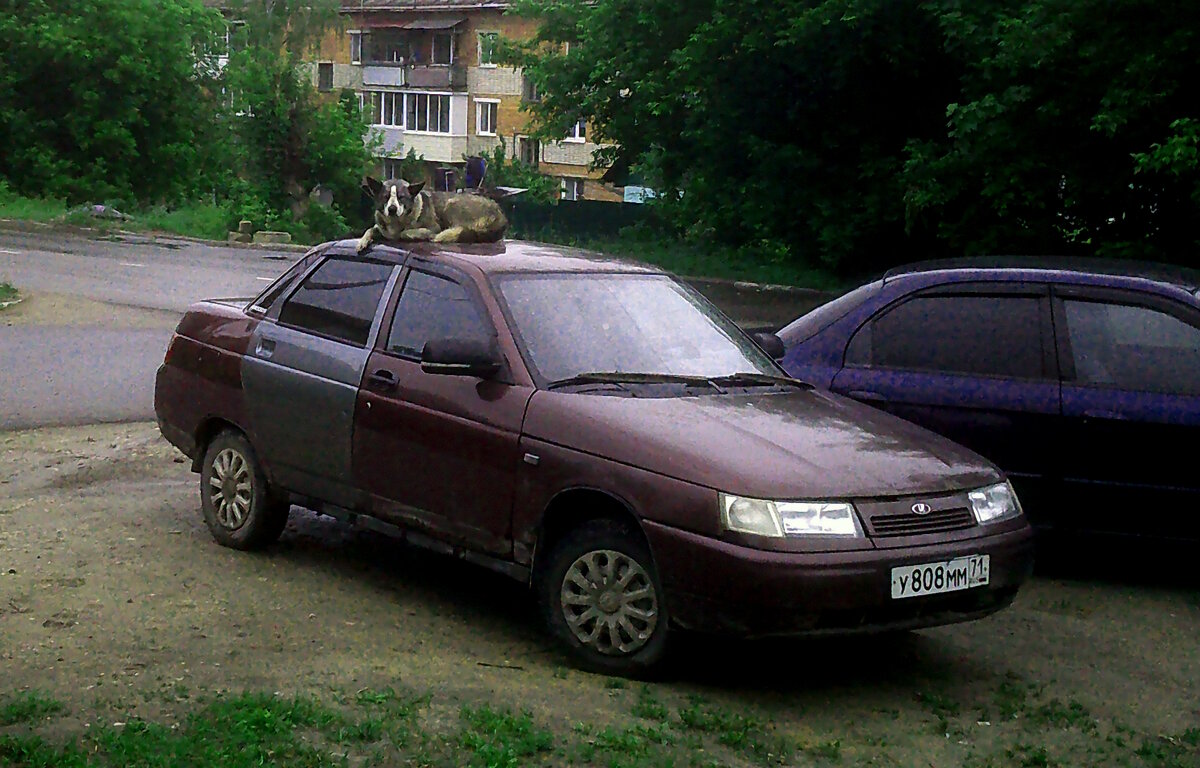 Охраник - Сергей Уткин