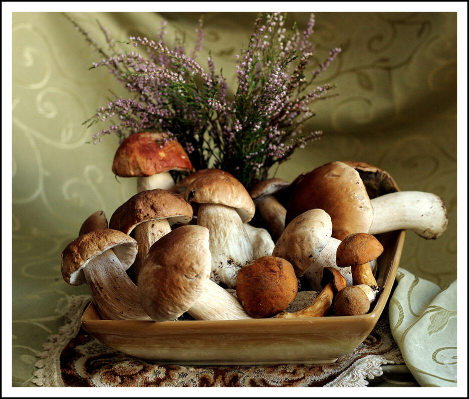 Дары леса - Aleksandr Gal