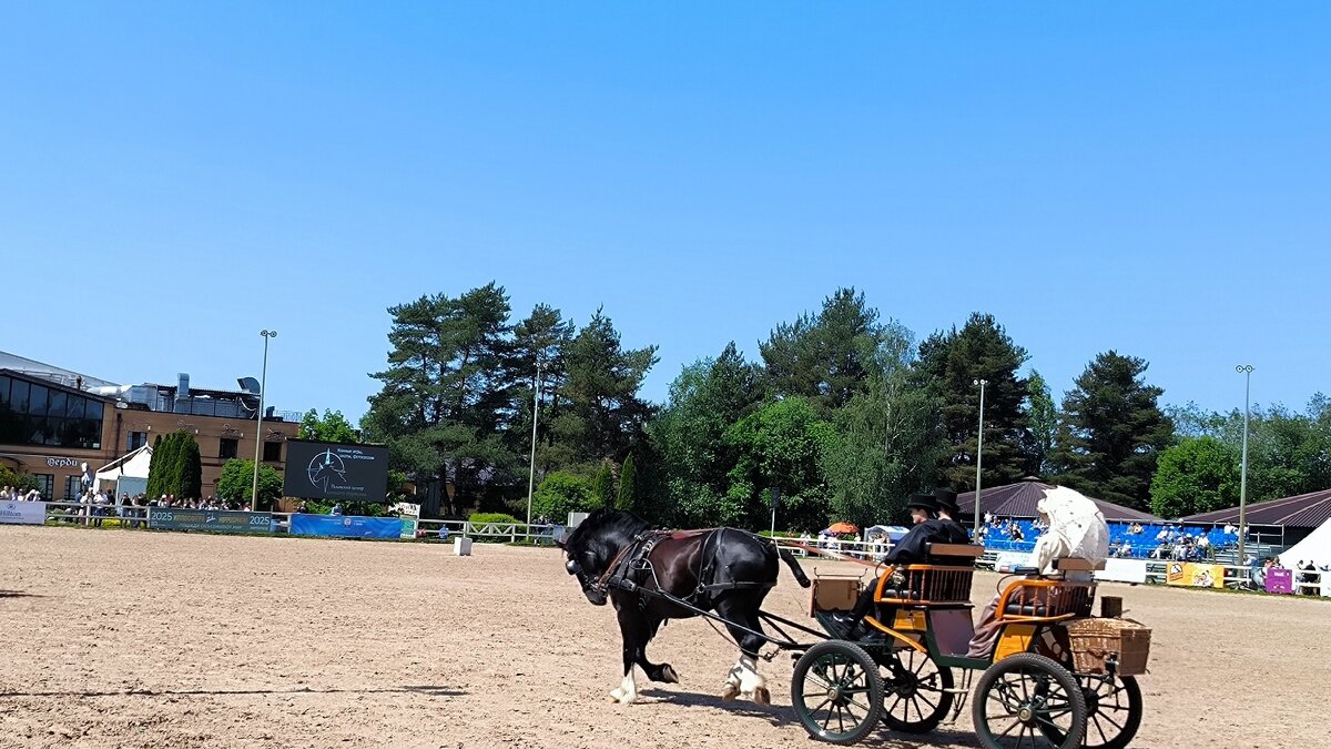Выступают Атланты северной столицы. - Ольга 