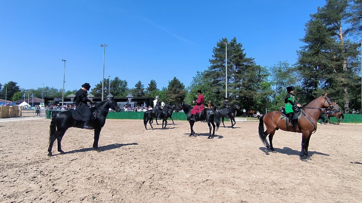 Черкесская и кабардинская порды. - Ольга Черкесская и кабардинская порды. - Ольга