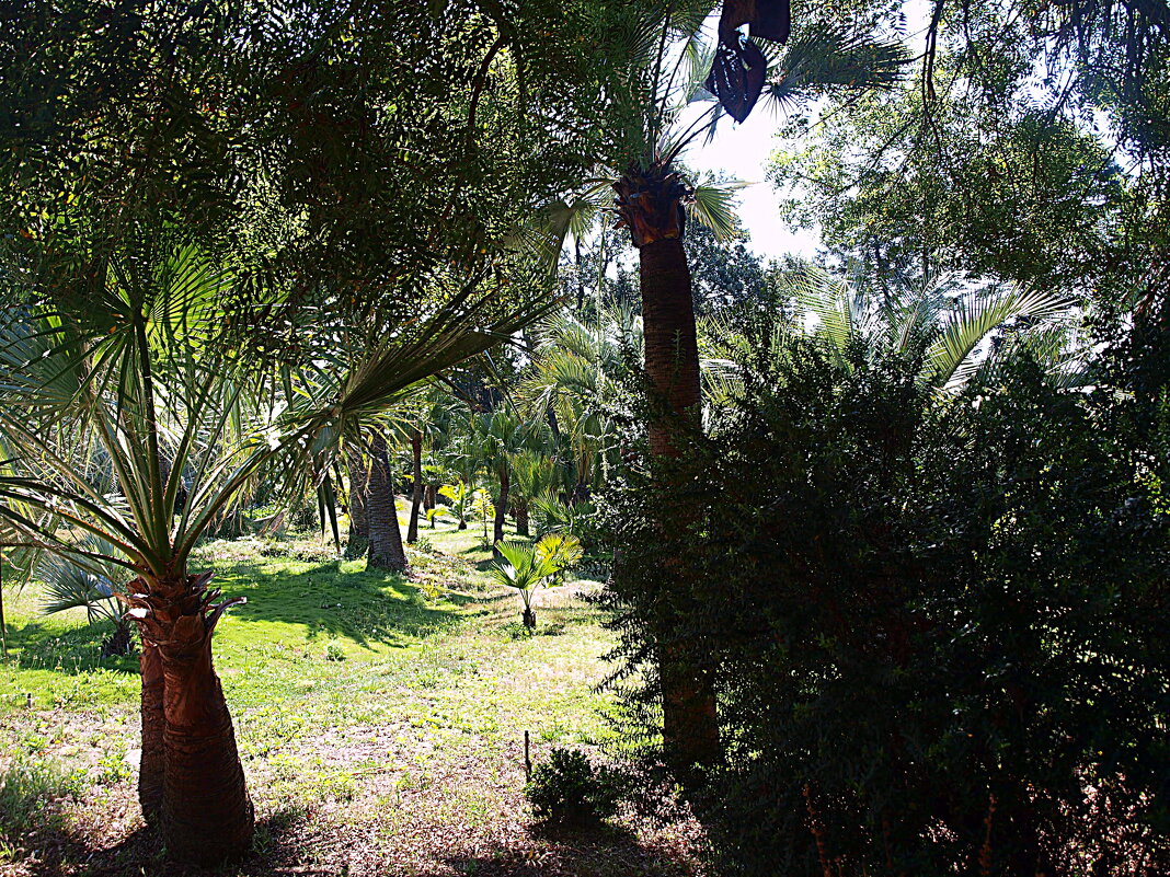 Барселона. - Владимир Драгунский