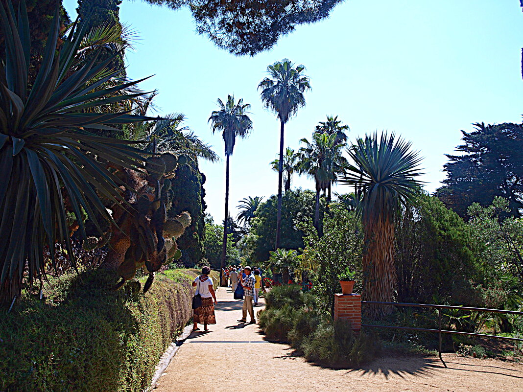 Барселона. - Владимир Драгунский