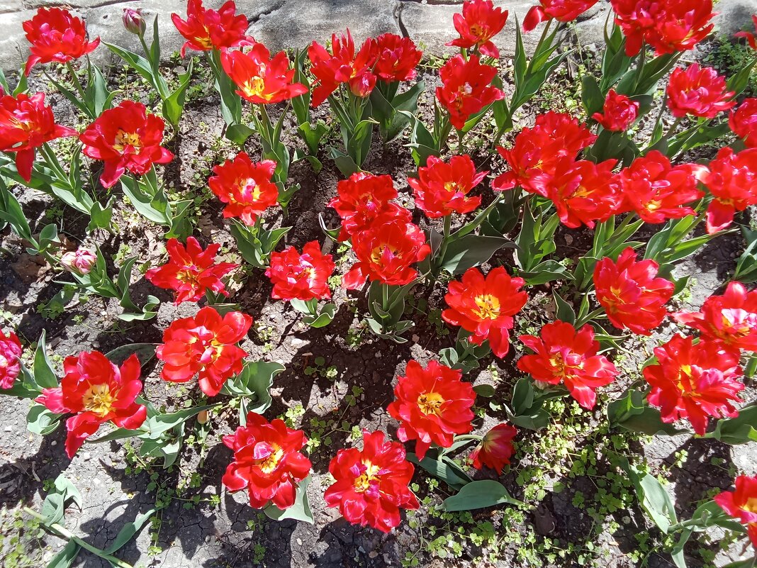 Коллективное позирование - Виктор 