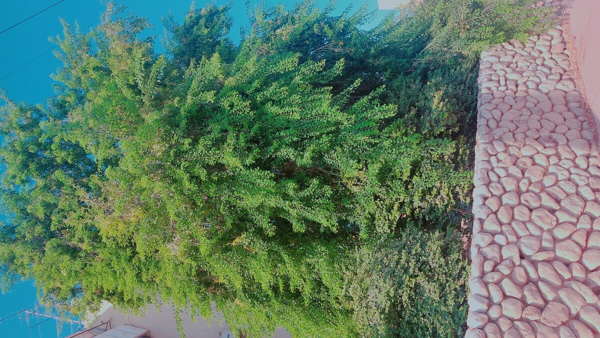 13  ОПЕН (155) - OPEN WAYS ALL