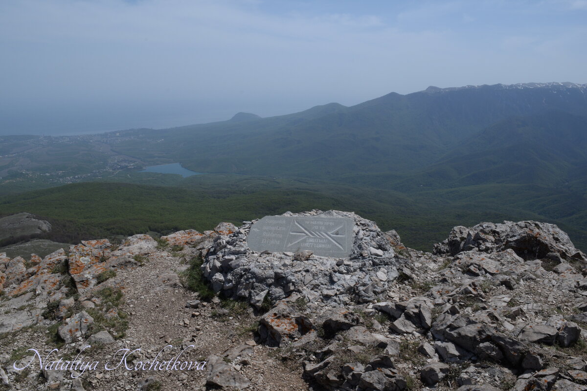 Природа Крыма - Amazing Cosmea