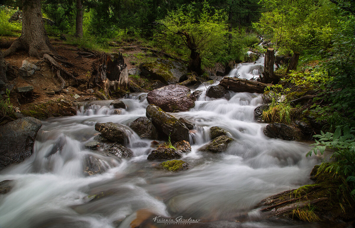 Лесной ручей Боки (2) - Вениамин Скородумов