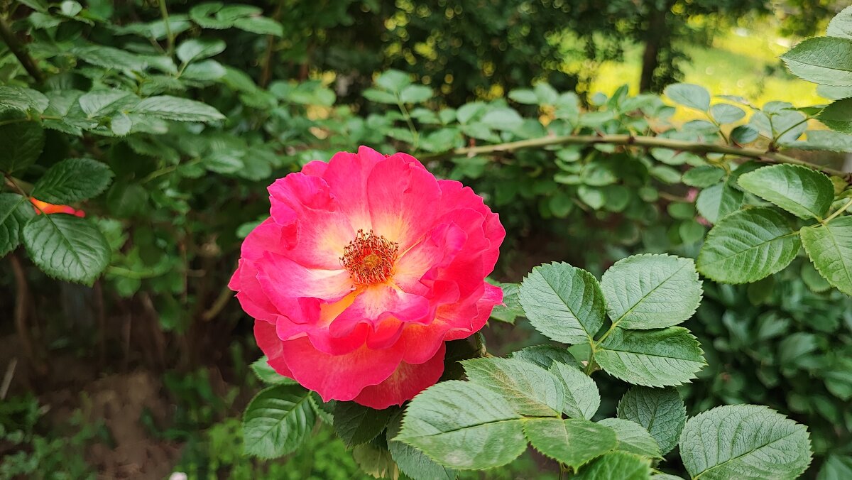 ,,, - Сергей Тимоновский