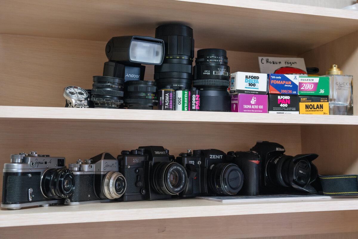 Эволюция - Михаил Соколов