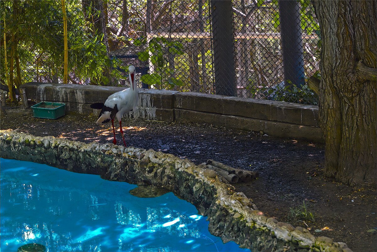 Хайфа 06,2025году - ujgcvbif 