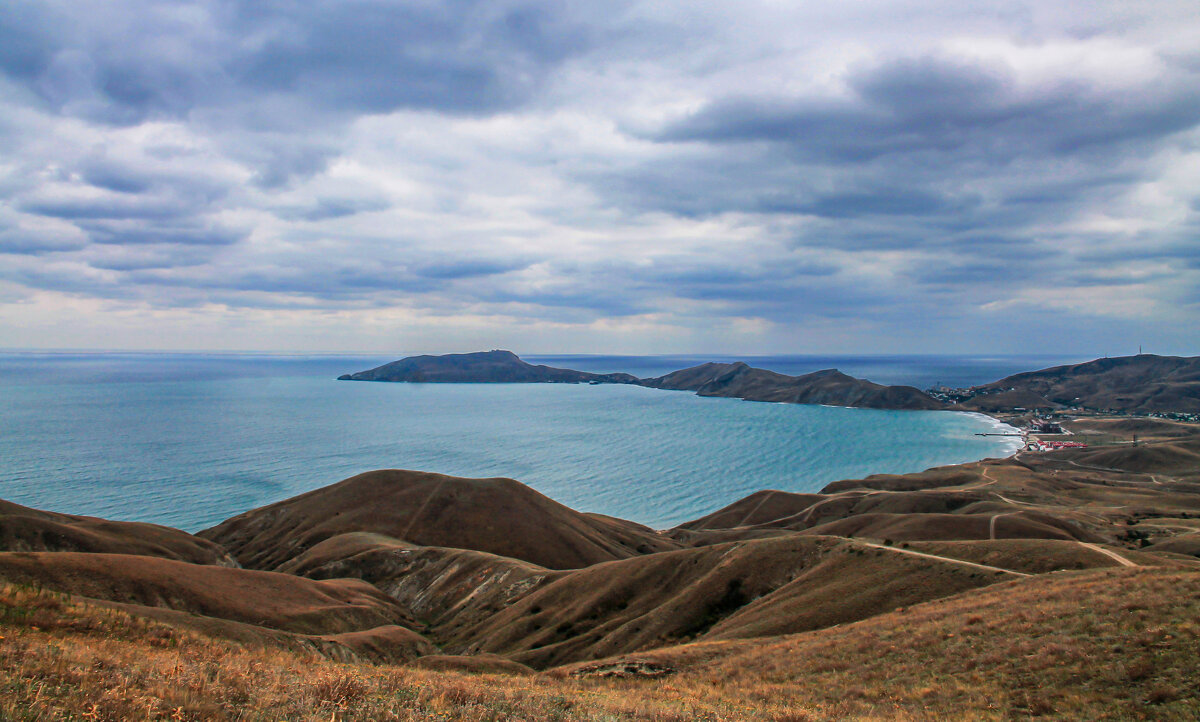 вид - РозаВетроф 