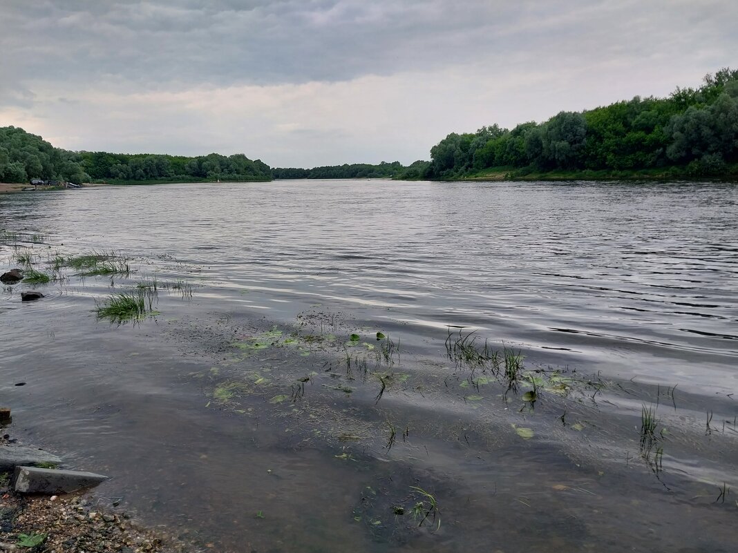 р.Ока в лесопарке - Tarka 