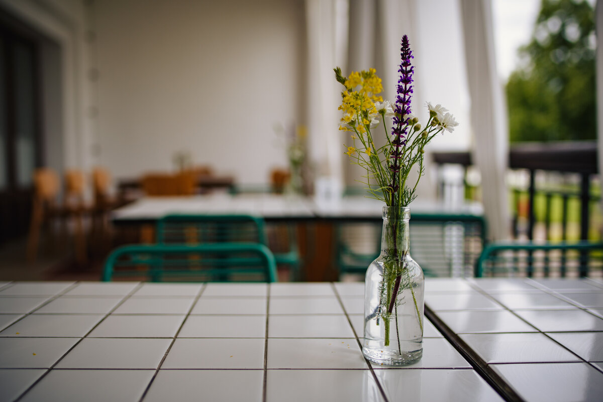 Суздаль. Июнь 2025 - Вячеслав Владимирович Суздаль. Июнь 2025 - Вячеслав Владимирович